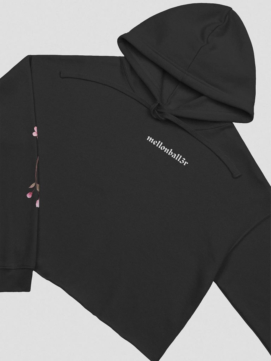 fkrs cropped hoodie product image (8)