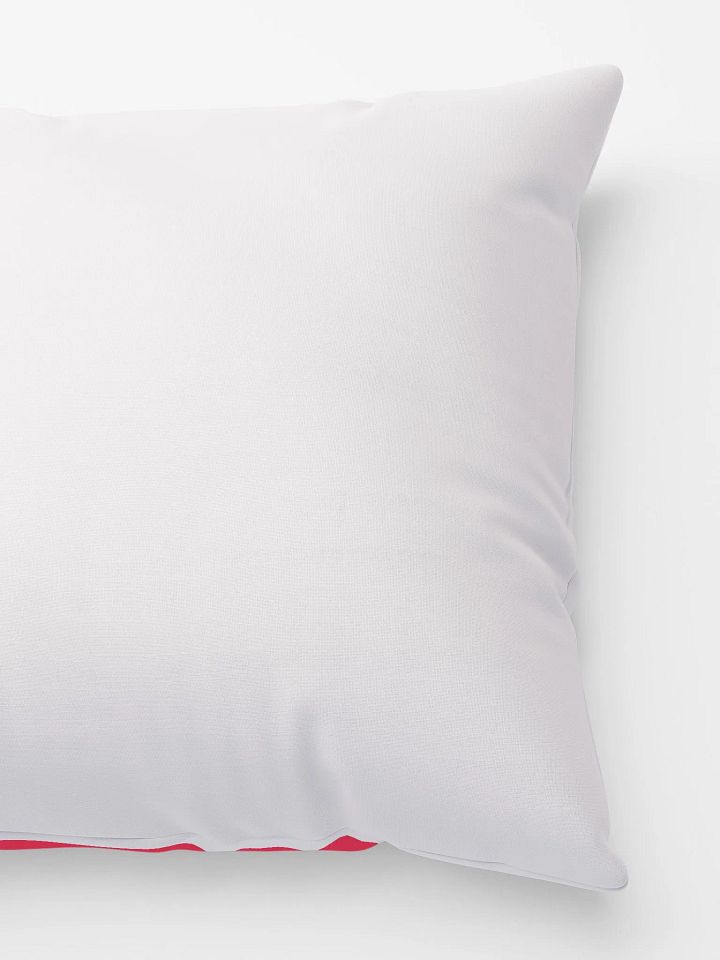 FART DEBBIE PILLOW product image (4)