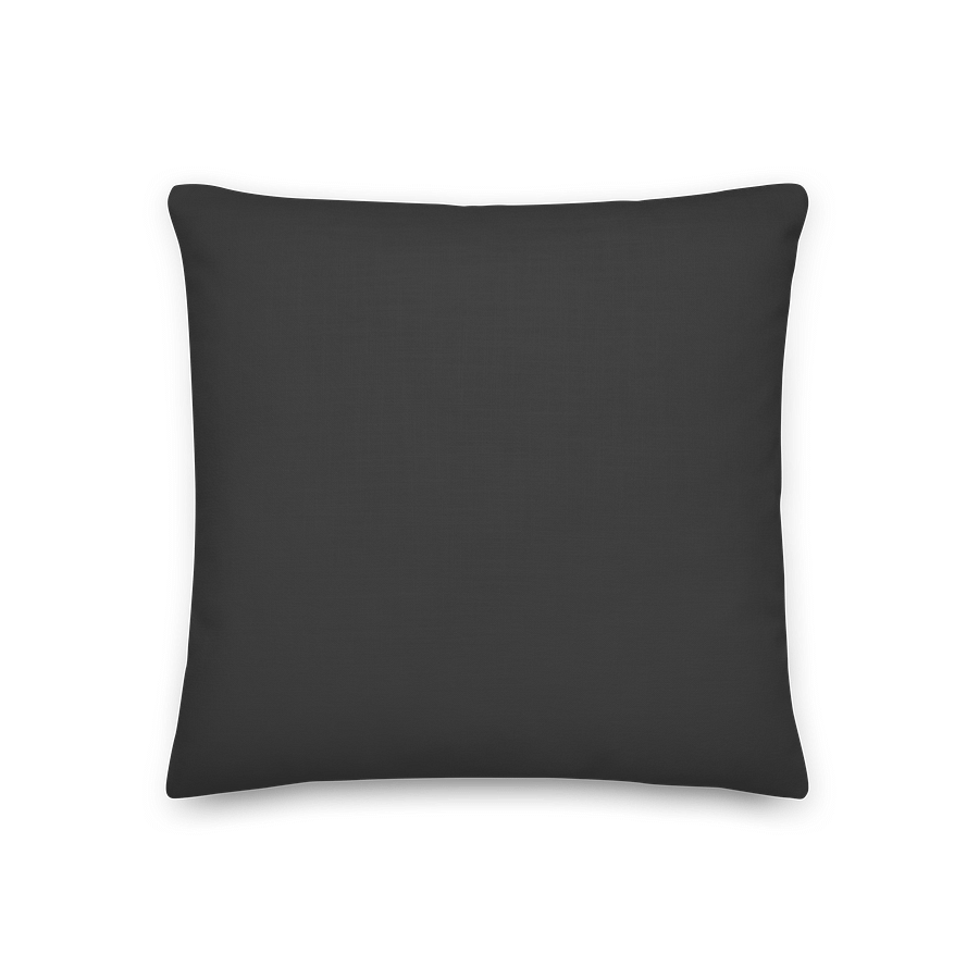 Baddies Read Pillow product image (2)