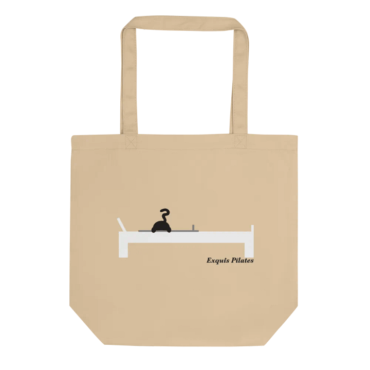 Cat on the Reformer Tote product image (1)