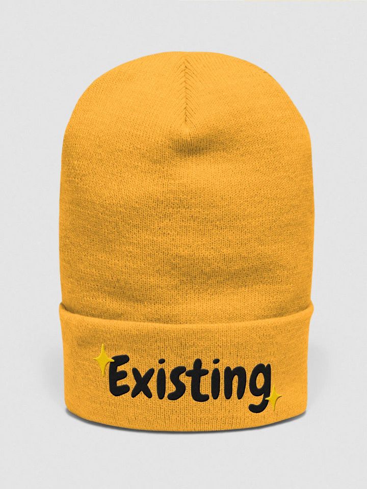 Existing Beanie | Black Lettering product image (1)