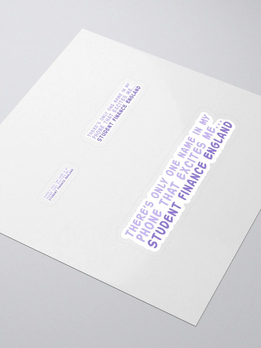 Student Finance Sticker product image (3)