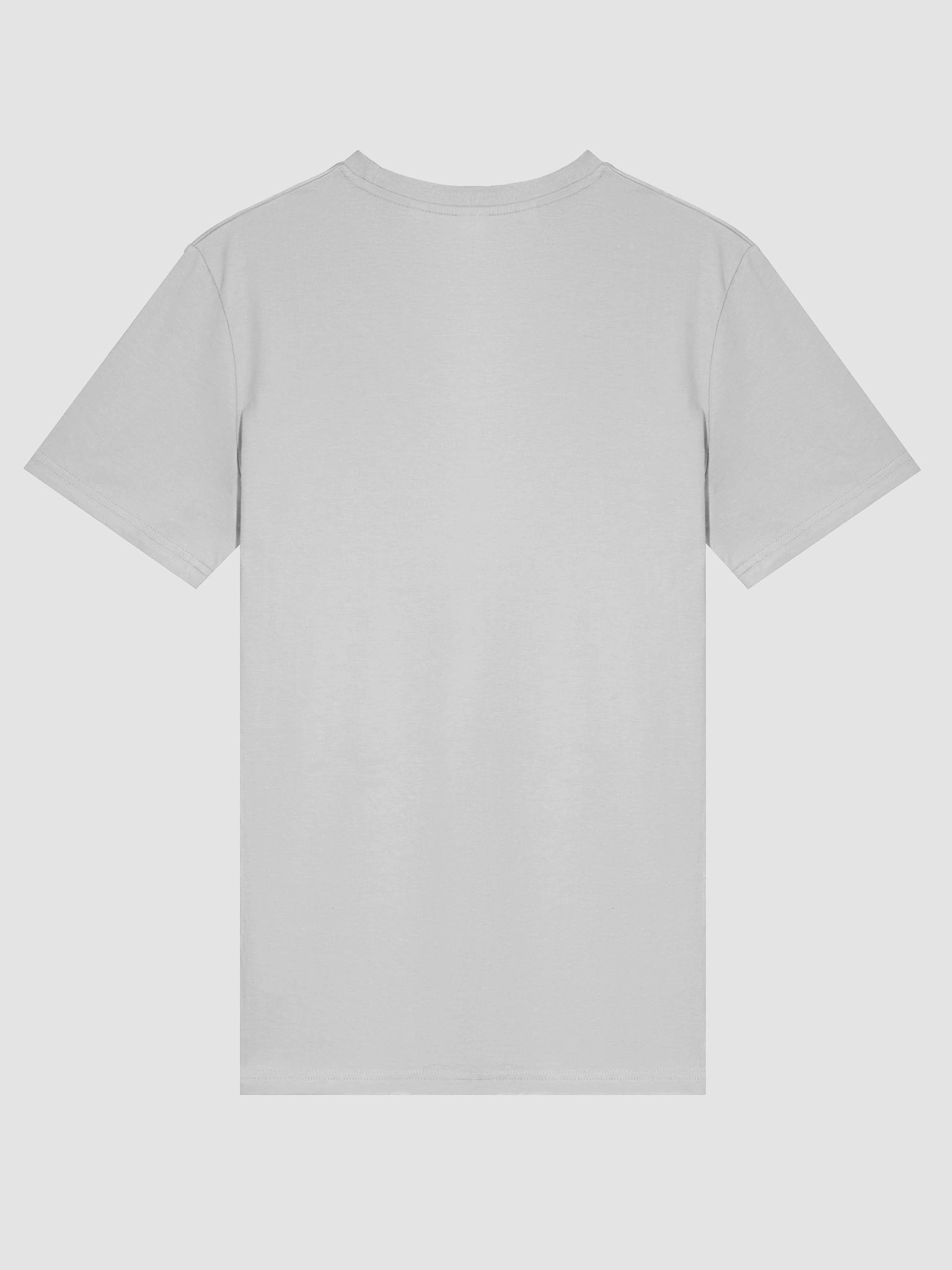 Healthy Wealthy Vegan Organic Tee product image (2)