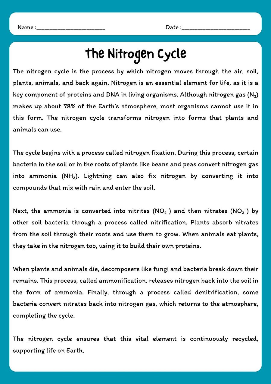 Nitrogen Cycle Reading Comprehension Passage & Questions product image (1)