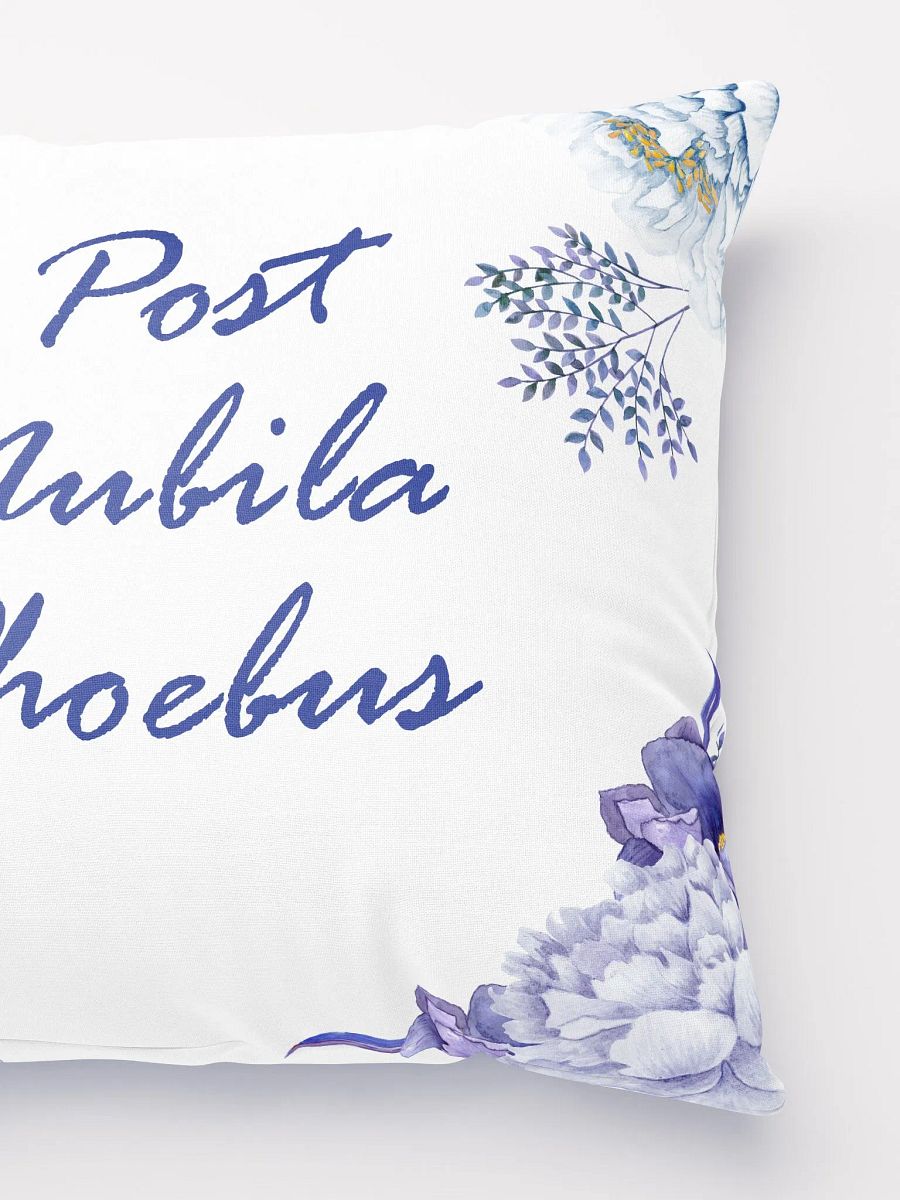 Post Nubila Phoebus Pillow product image (5)