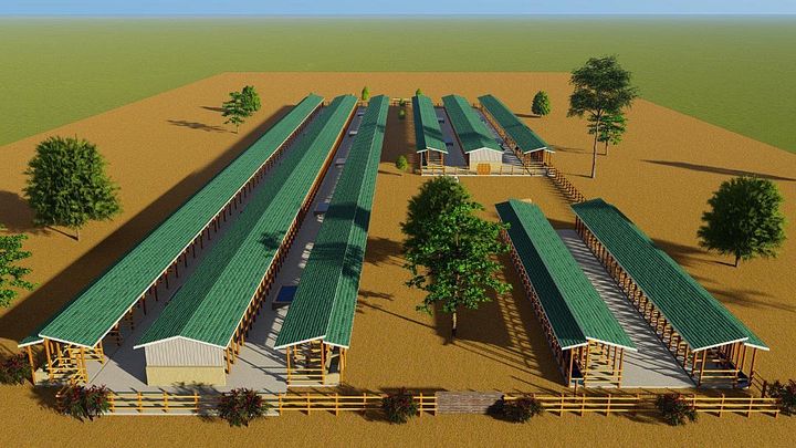 200 Dairy Cows Design Plan product image (1)