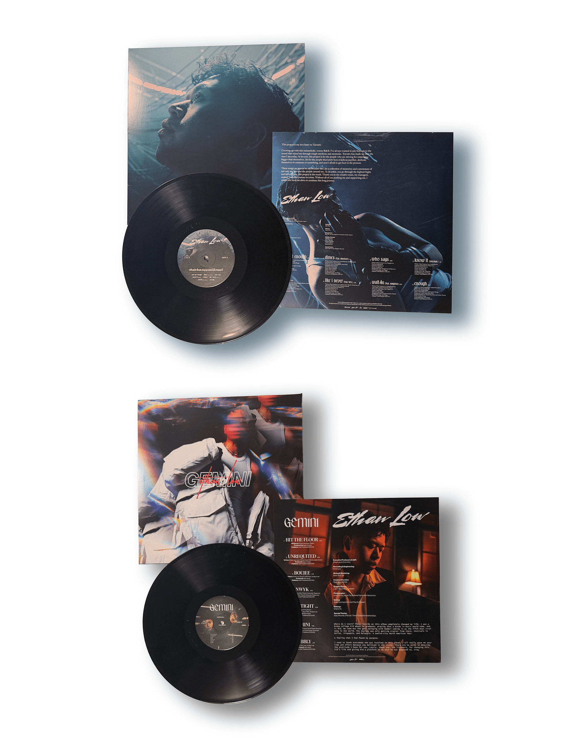 GEMINI / what's that supposed to mean? product image (1)