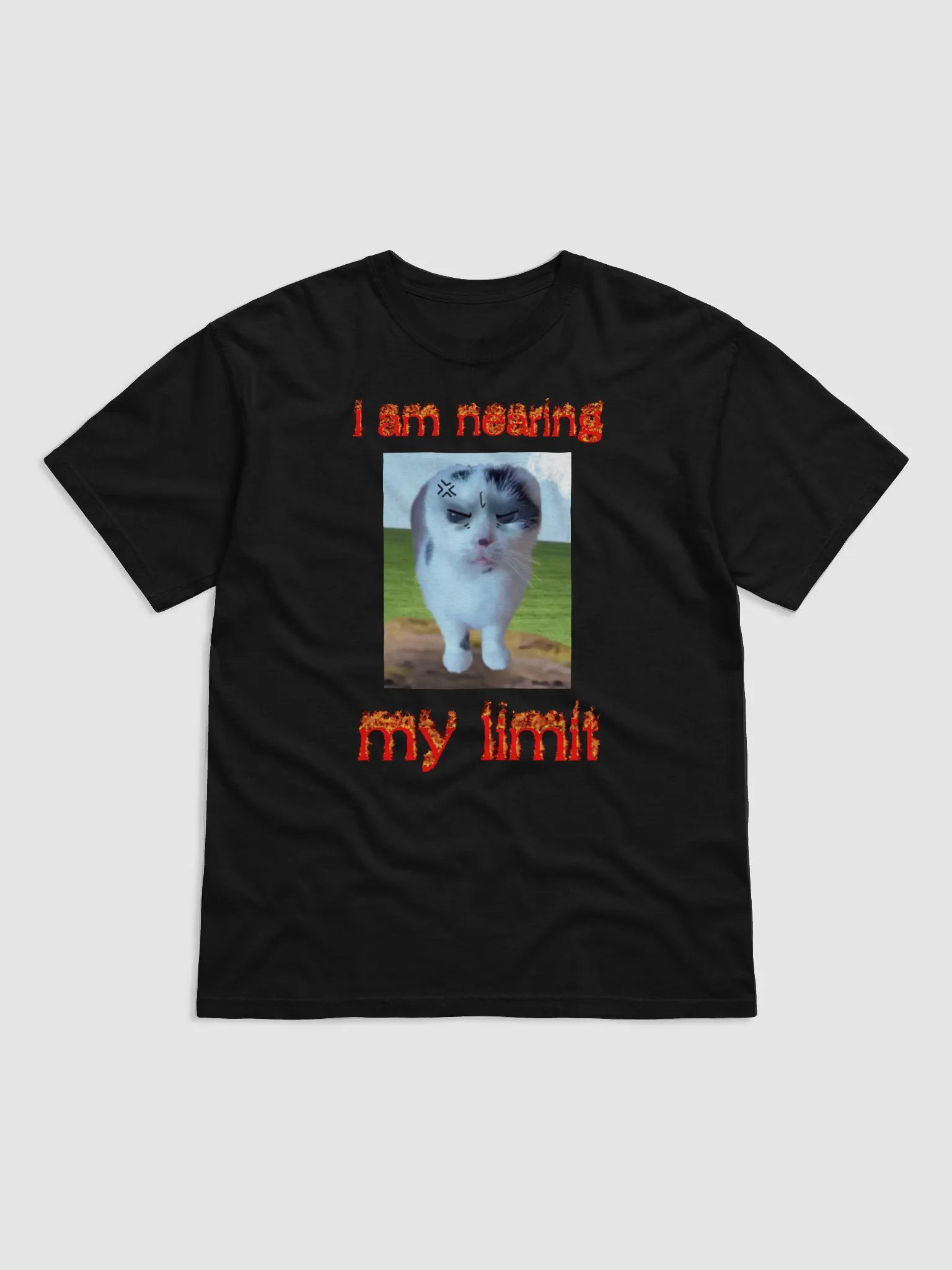 I am nearing my limit product image (1)