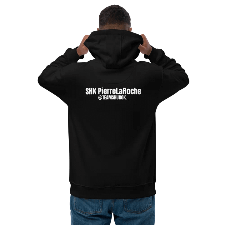 PREMIUM: Pull PierreLaRoche Team Shurok product image (2)