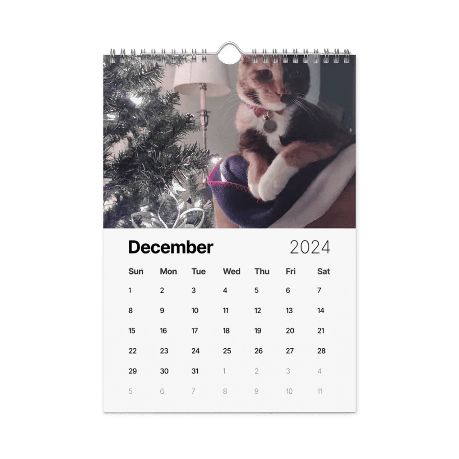 2024 Lyra Calendar product image (11)
