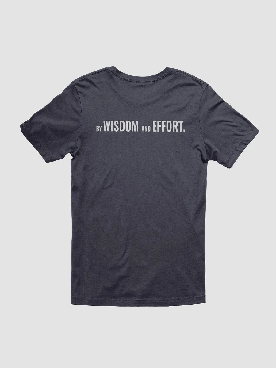 By Wisdom and Effort T-Shirt product image (4)