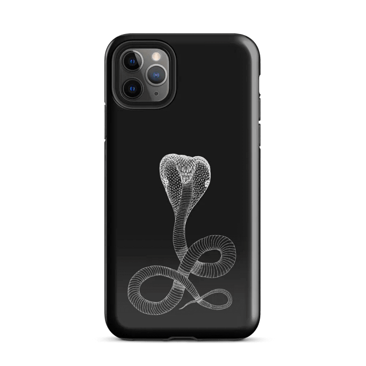 COBRA product image (26)