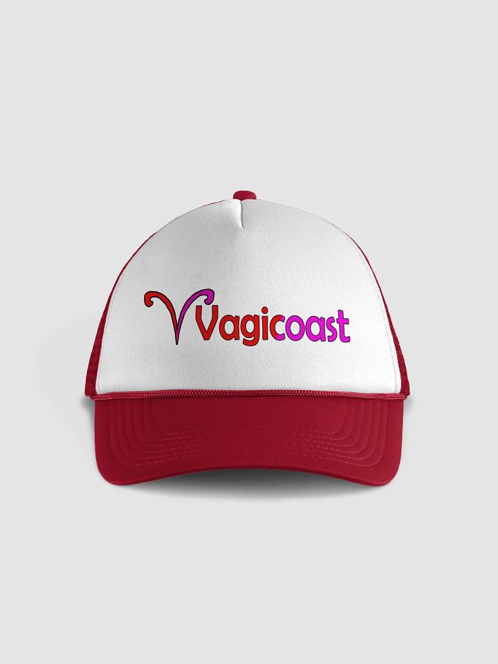 Vagicoast Logo Hat product image (1)