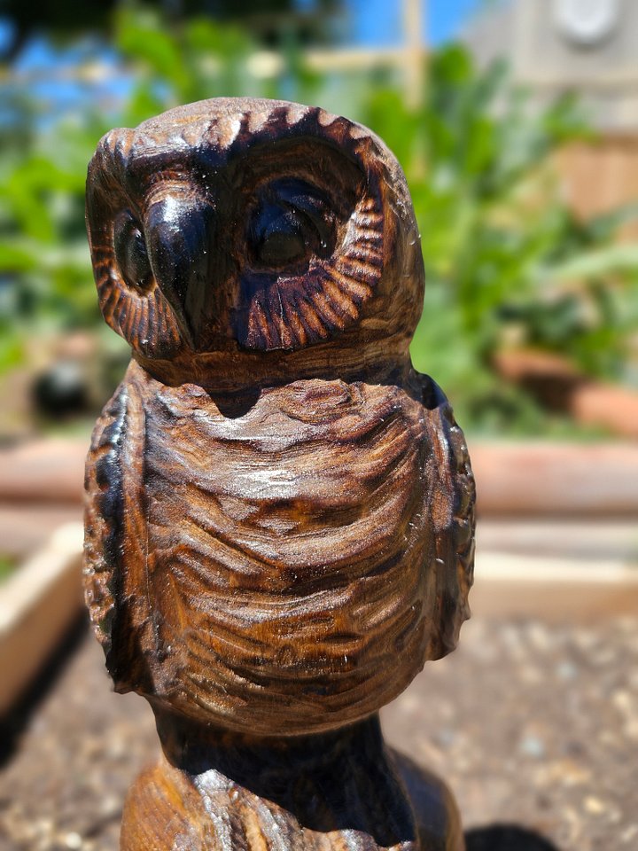 Sleepy Owl Wood Carving product image (1)