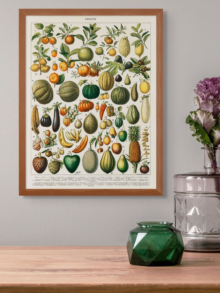 Vintage Fruit Botanical Illustration Poster product image (2)