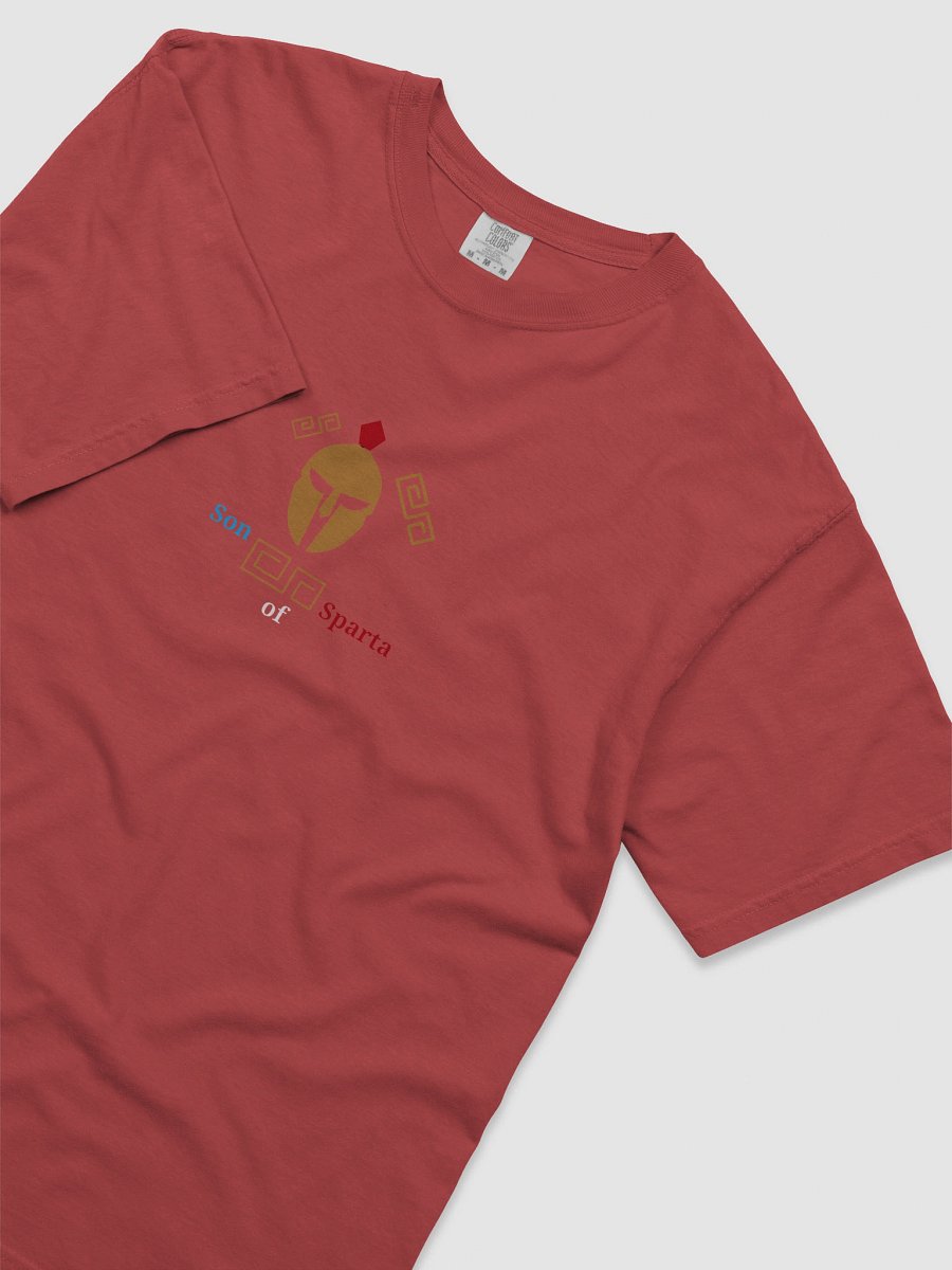 Spartan Spirit Heavyweight Tee product image (5)