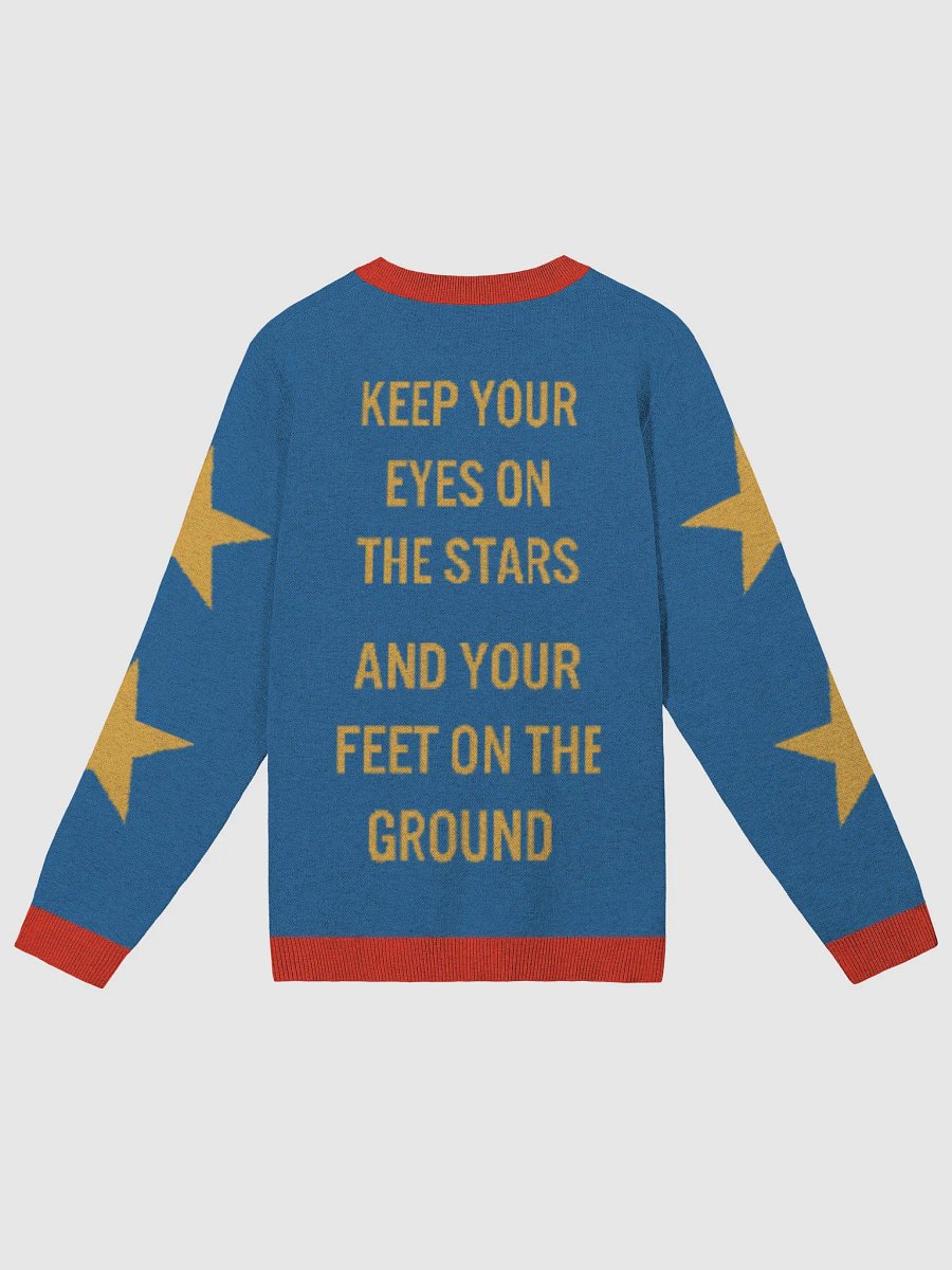 Bull Moose Party Sweater product image (8)