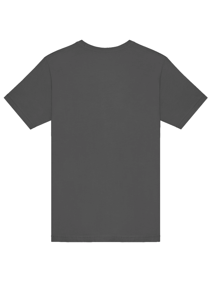 Sellsword Arts - Grey T-Shirt product image (6)