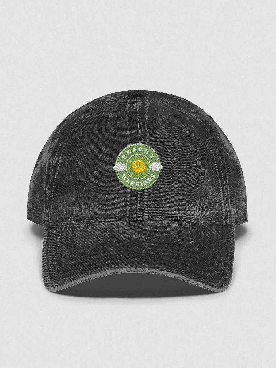 Summer of '24 Embroidered Warrior Cap product image (1)