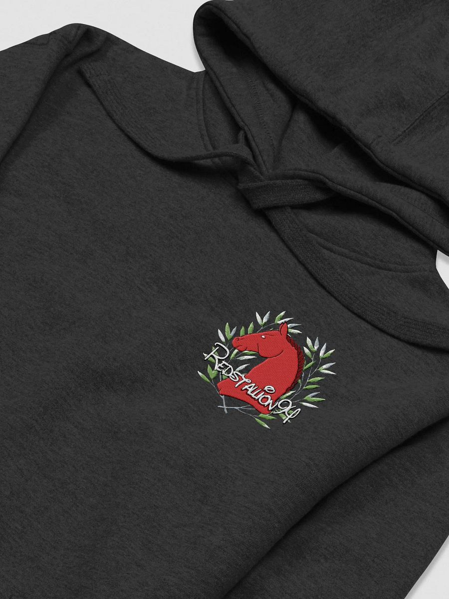 RedStallion94 Embroidered Hoodie product image (18)