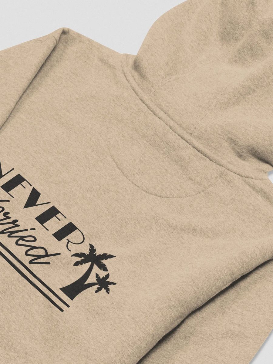Never Worried Cotton Hoodie product image (25)