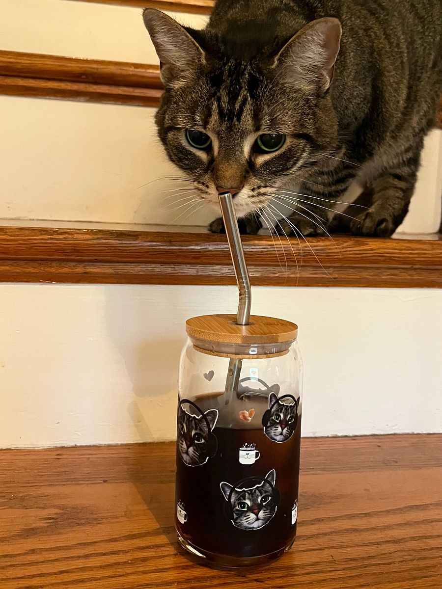 The "Rock On, Mocha" Glass 🐾 product image (3)