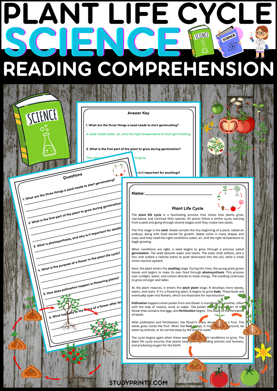 Plant Life Cycle Reading Passage with Comprehension Questions product image (1)