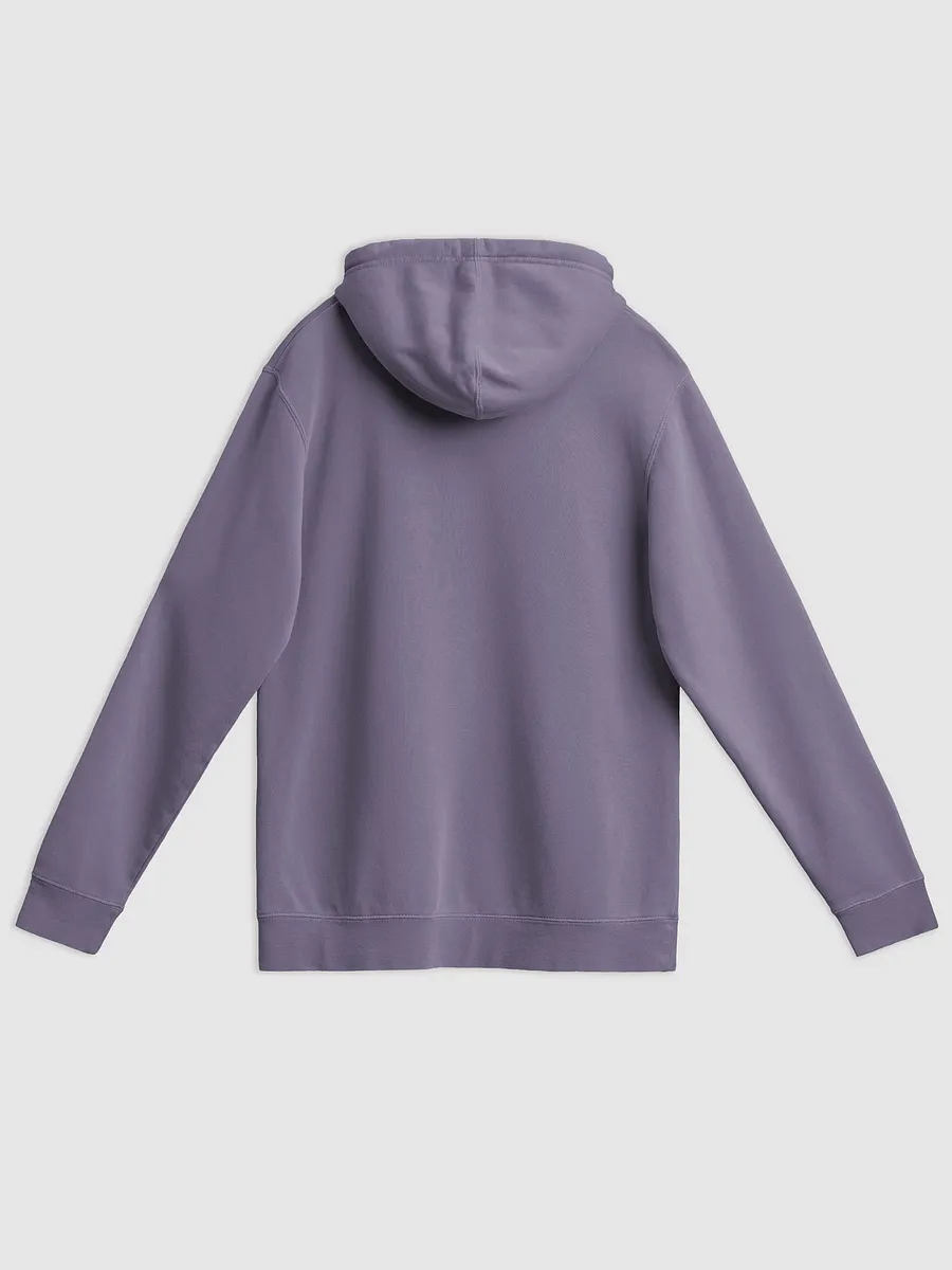Bubbly and a B*tch (lined design, #763D7D) printed pigment hoodie product image (20)