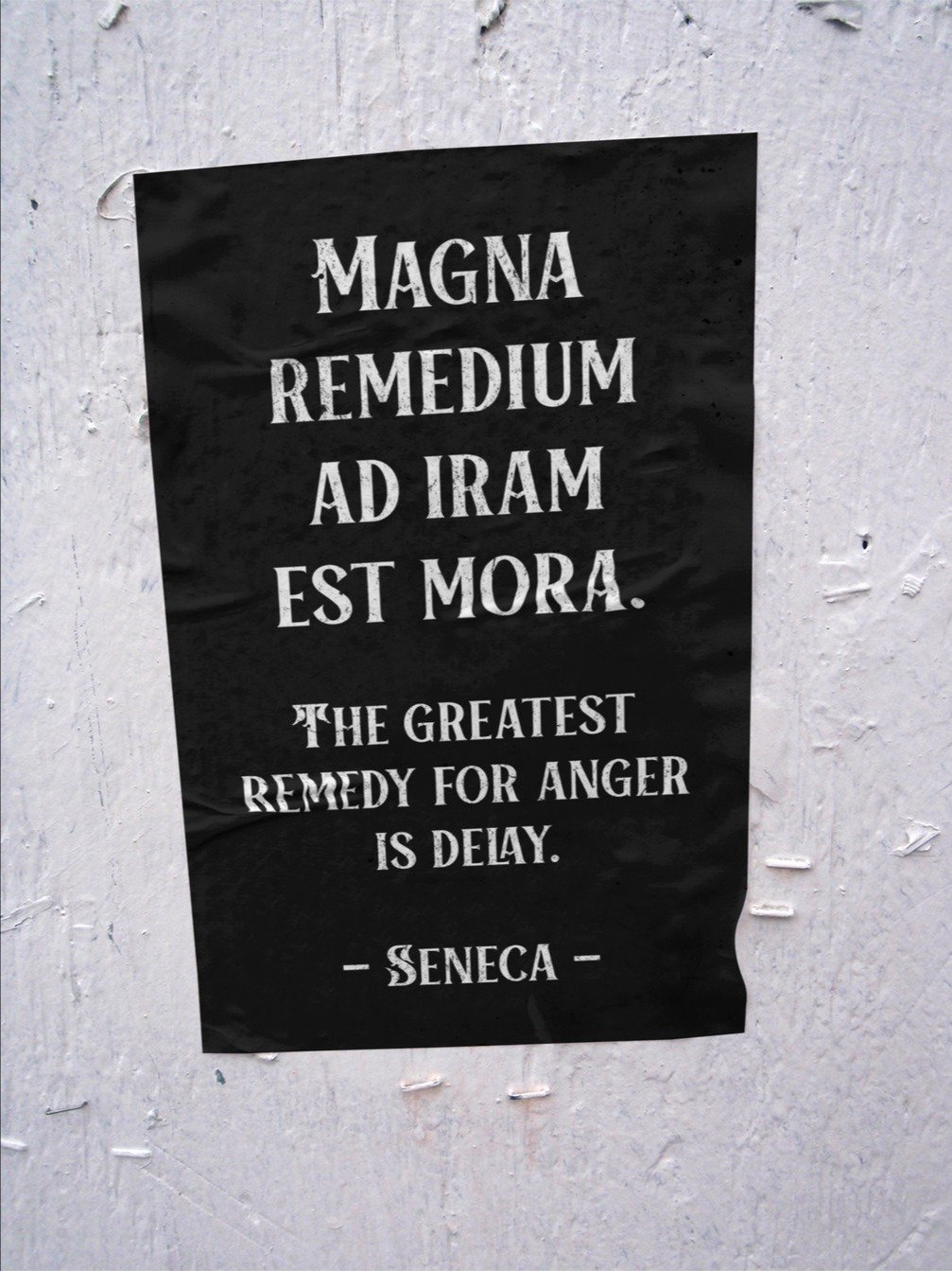 Seneca Stoic Quote Printable Poster product image (2)