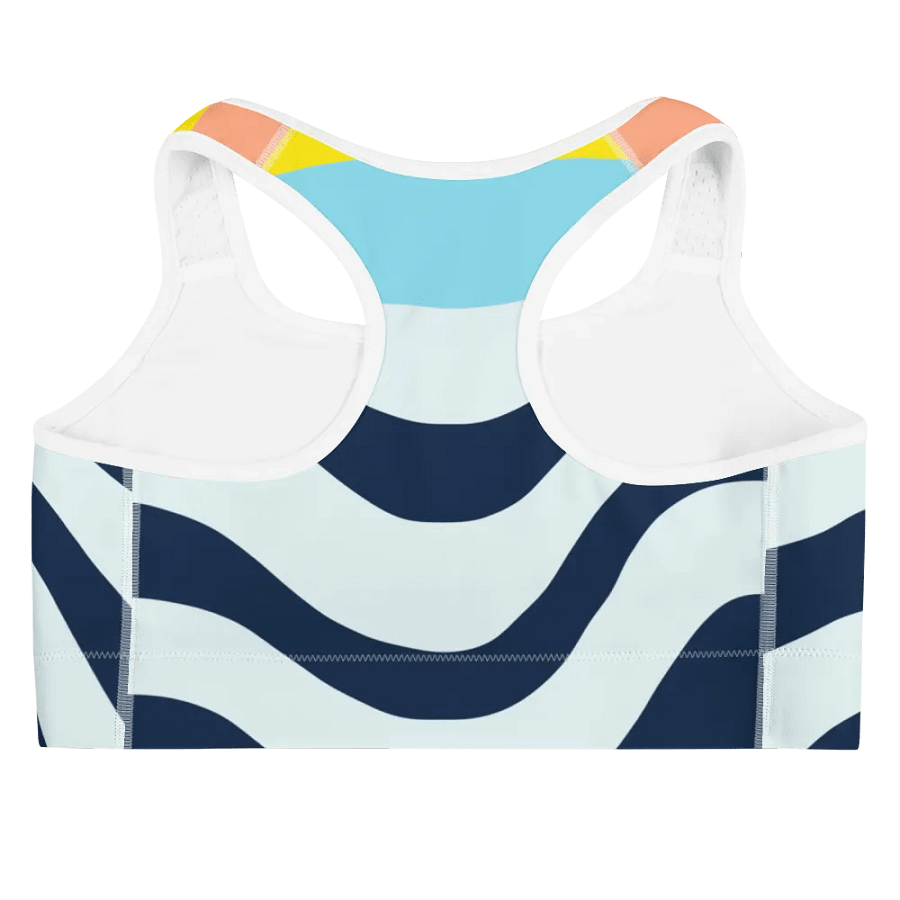 Tizzy Sports Bra product image (5)