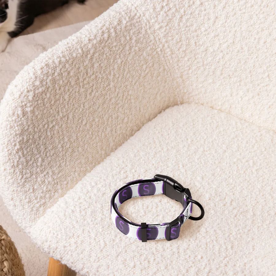Selenite Collar product image (5)