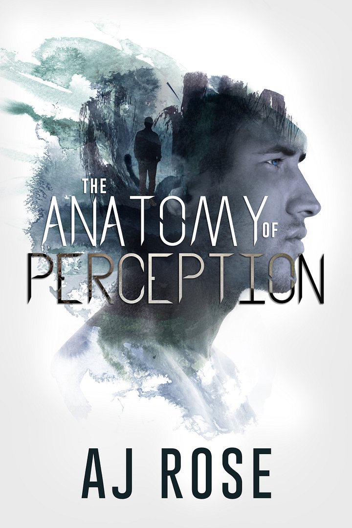 The Anatomy of Perception product image (1)