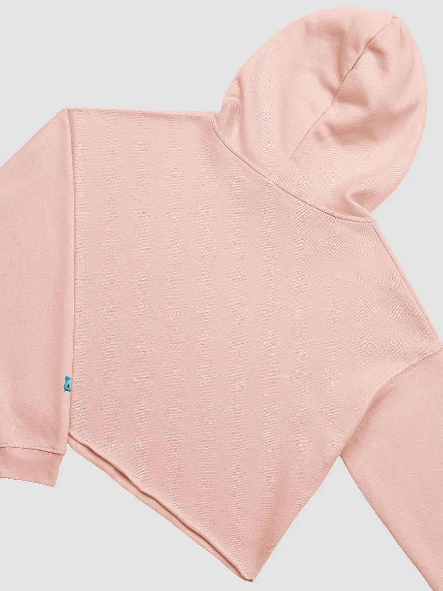 Akuma Miko Crop Hoodie product image (4)