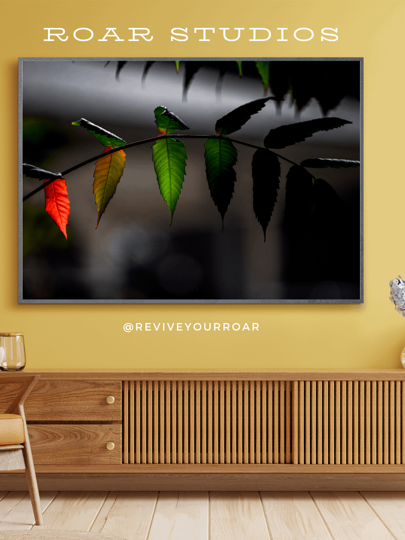 A Rainless Rainbow product image (1)