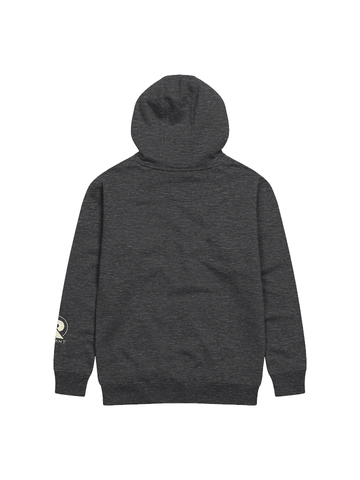 A $RADCAT Hoodie product image (2)