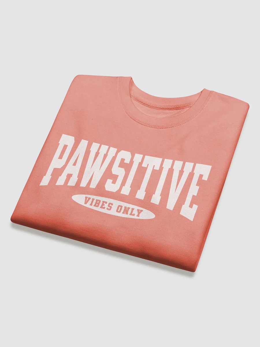 Pawsitive Vibes Only Premium Sweatshirt product image (3)