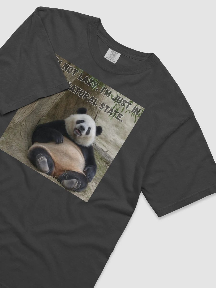 Lazy Panda Mood T-Shirt product image (11)