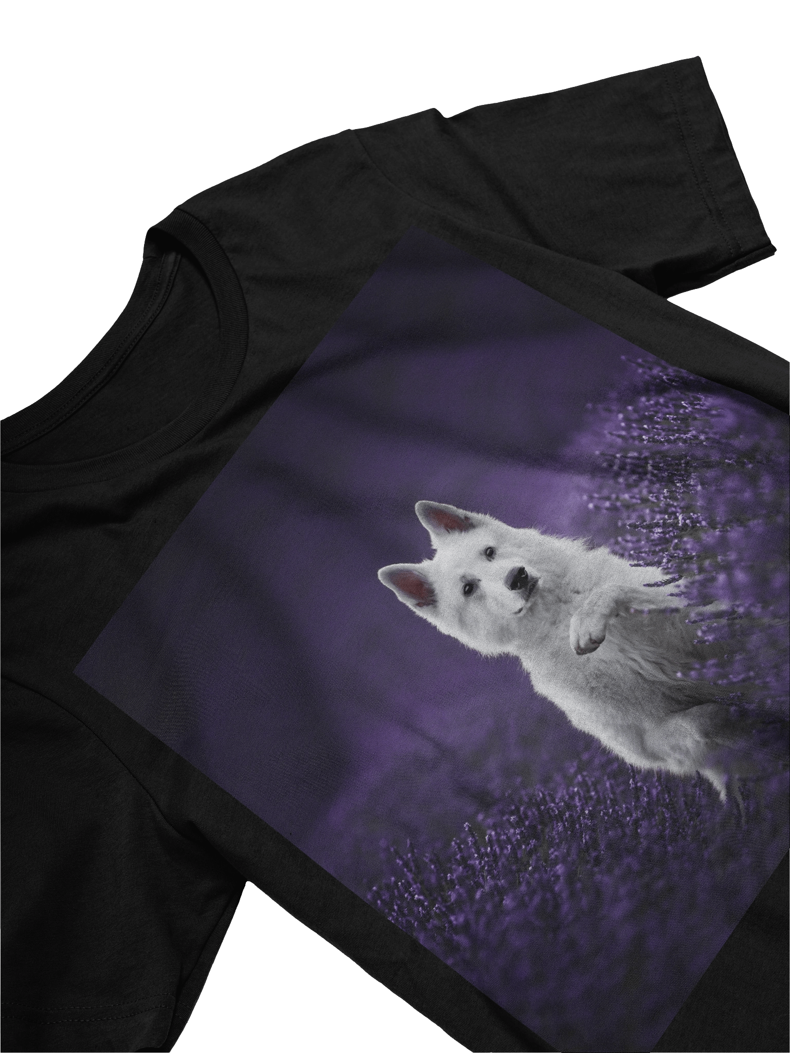 Rasta in the lavender fields product image (13)