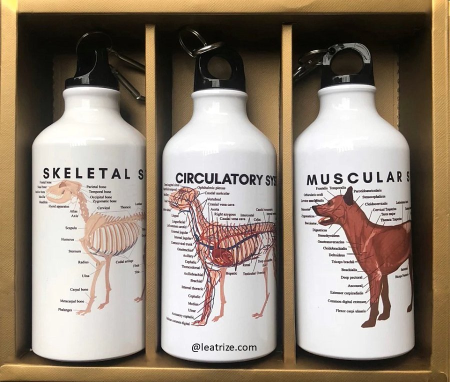 Canine Body System Sports Jug Set product image (1)