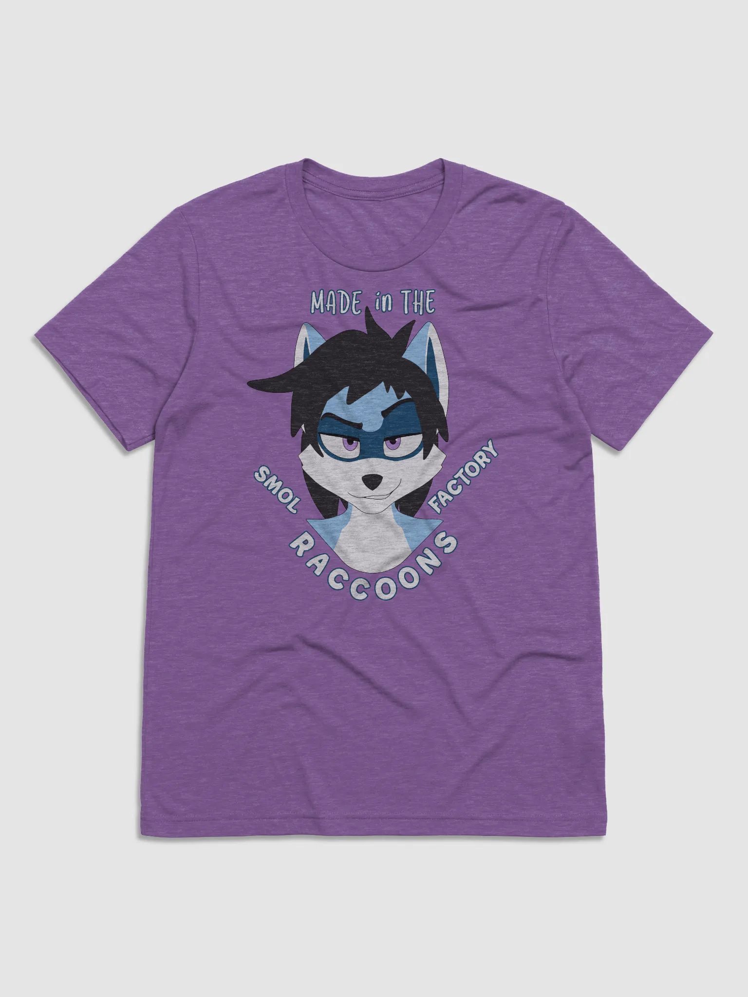 Ryder | Triblend T-shirt | Quote #1 product image (2)