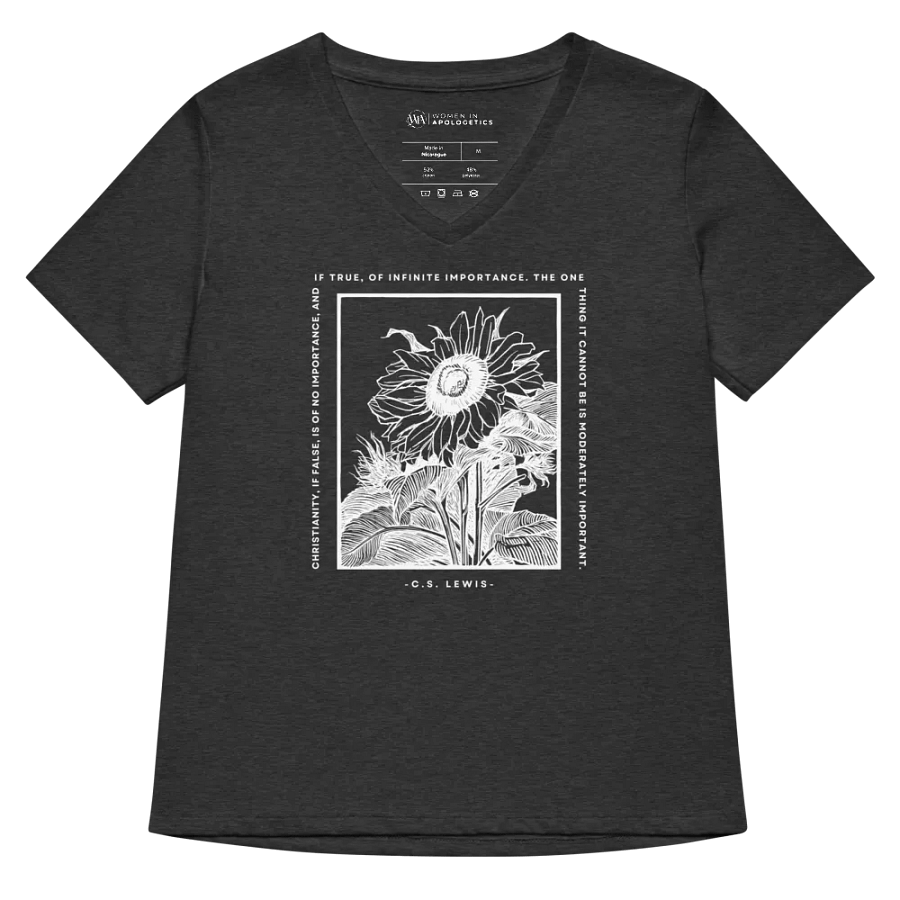 Christianity If True C.S. Lewis Quote V-Neck T-Shirt product image (40)
