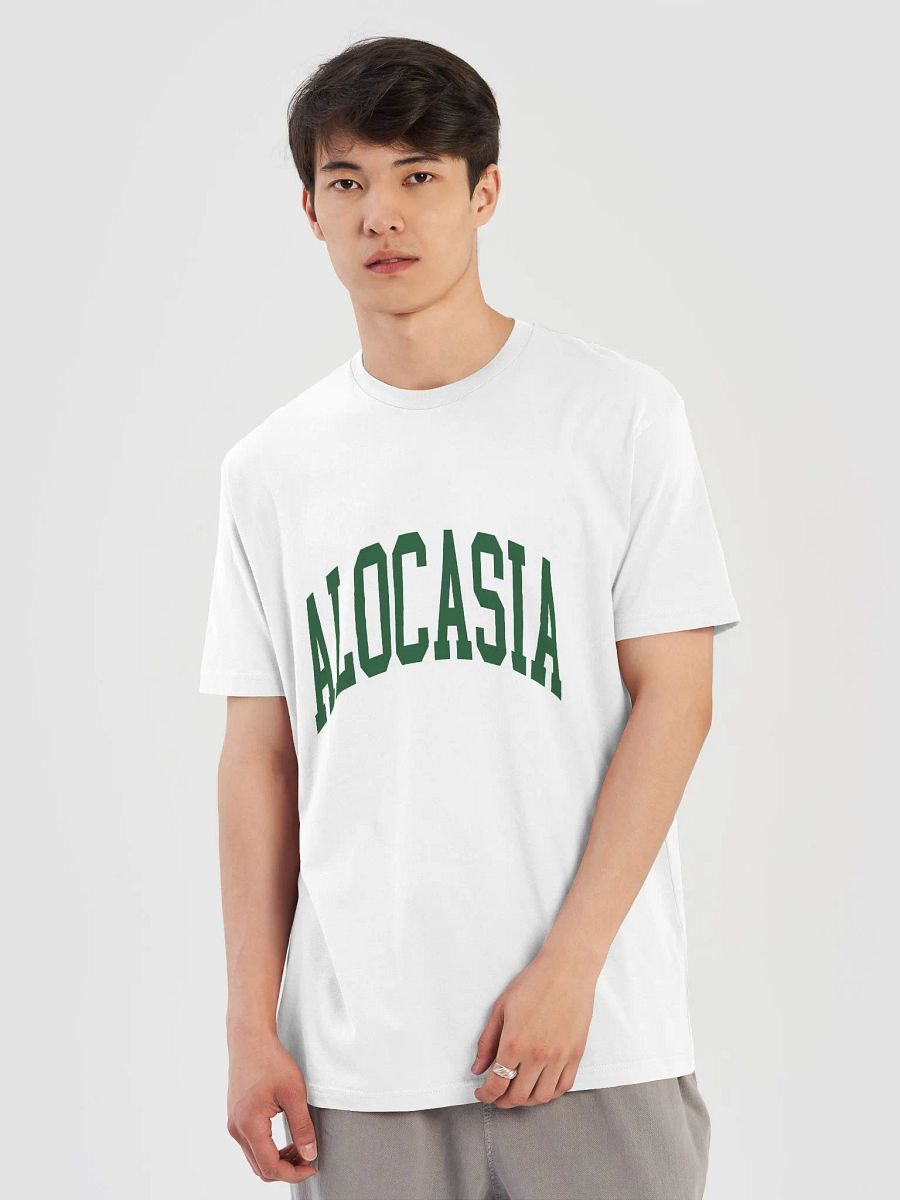 ALOCASIA varsity supersoft unisex tee product image (5)