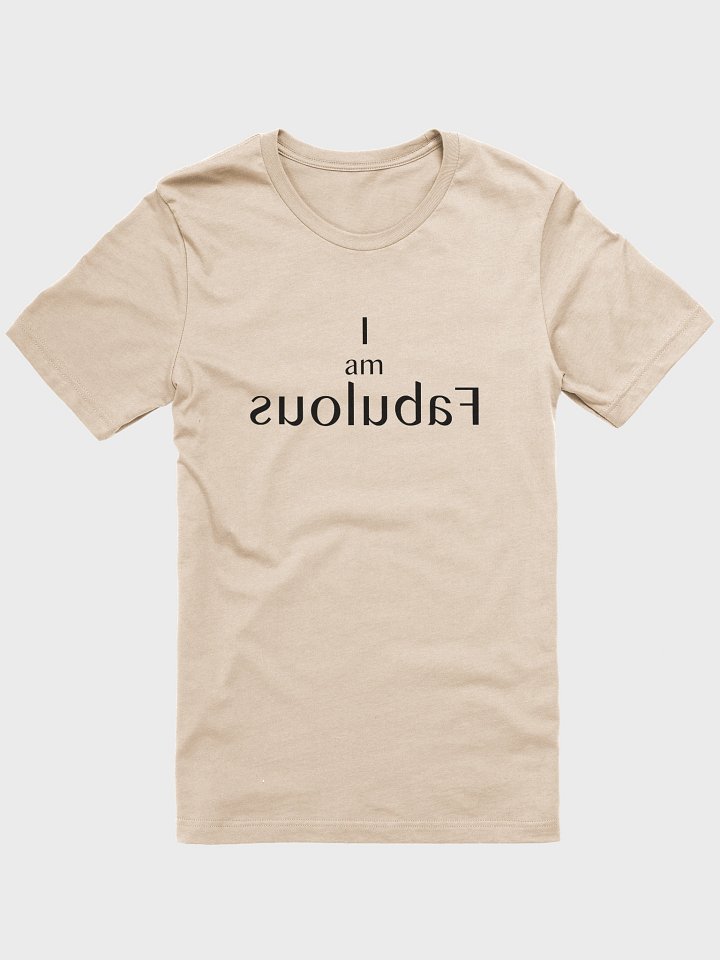 Mirror Message Tee – “I Am Fabulous” in Reverse (Read it in the Mirror) product image (1)
