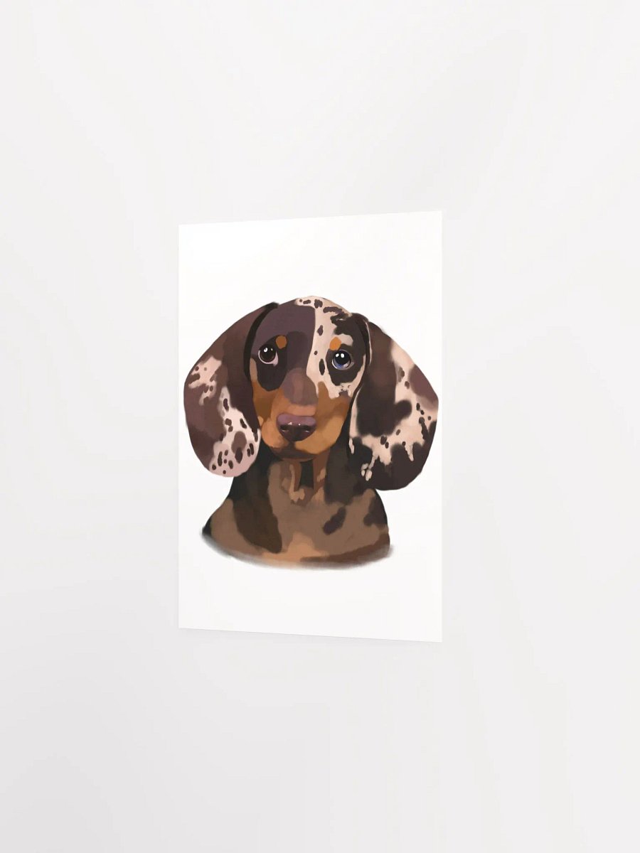 Dachshund product image (23)