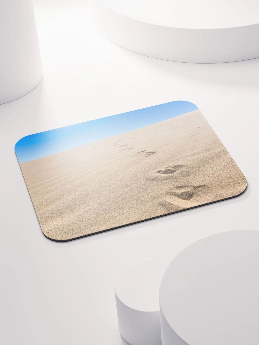 Salton Sea Coyote product image (4)