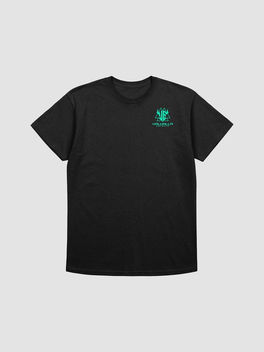 VE Front-Back Shirt product image (5)