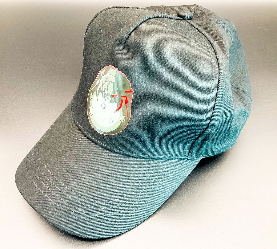 TDL Spider Dad Hat product image (3)