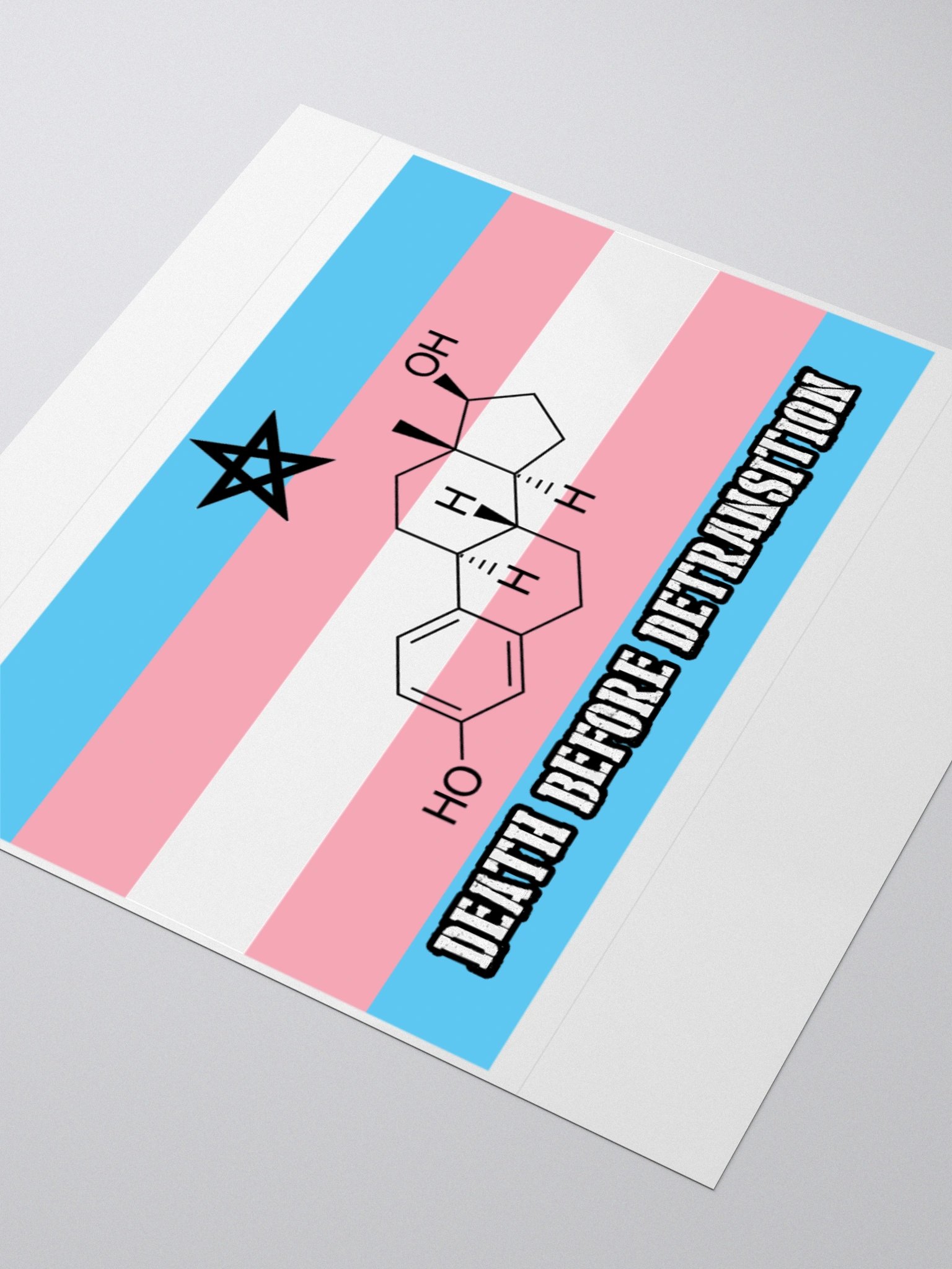 Death Before Detransition (E, sticker edition) product image (3)