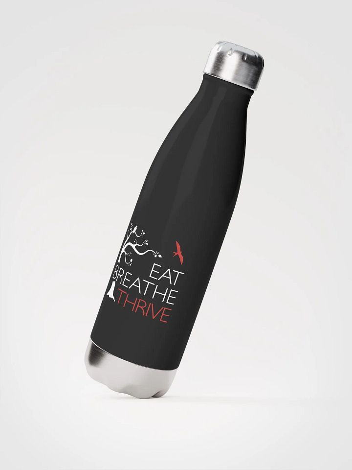 EBT water bottle | black product image (2)