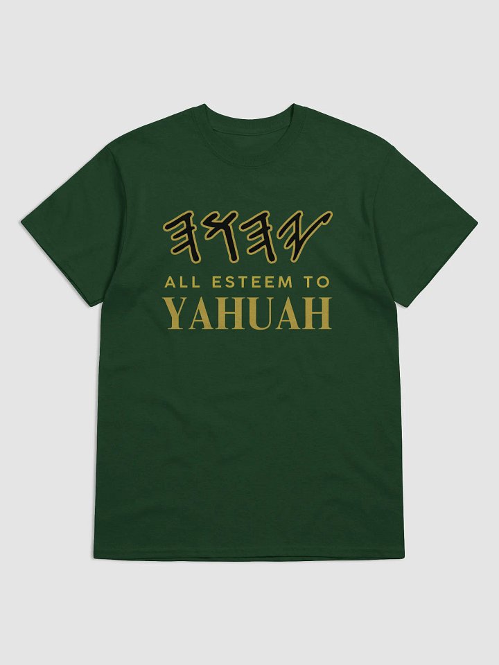 Yasharal Original Music: All Esteem To YAHUAH | T-Shirt | Forest Green product image (1)